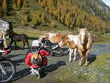 Motoalpinismo PASSO DORDONA - 062